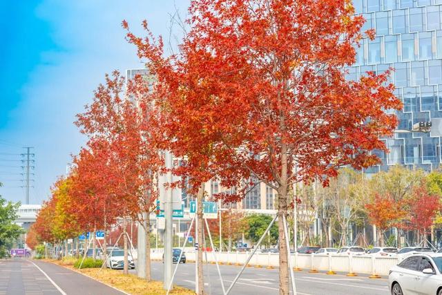 看！是金黄色的光明！