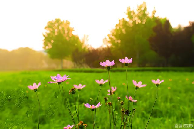 潍坊虞舜公园又火了，不仅因为免费，关键是每个季节都有好玩景致