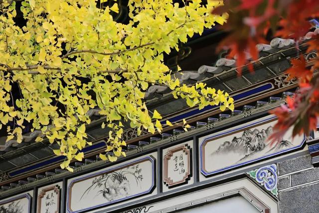 大理古城“金”彩上线！