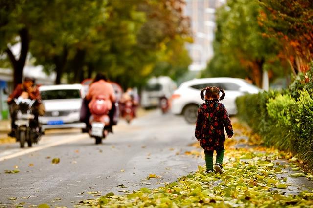 “不怕霜降雨，就怕霜降晴”，霜降到了，为啥怕晴天？农谚咋预兆