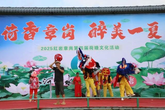 弥渡夏日荷塘等你来