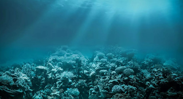 拒不认错的高市早苗，突然收到两个坏消息：中方这次动真格了