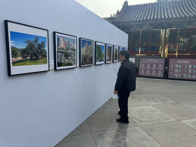 和古树“贴贴”、体验古树医院“黑科技”！来这里都能实现→