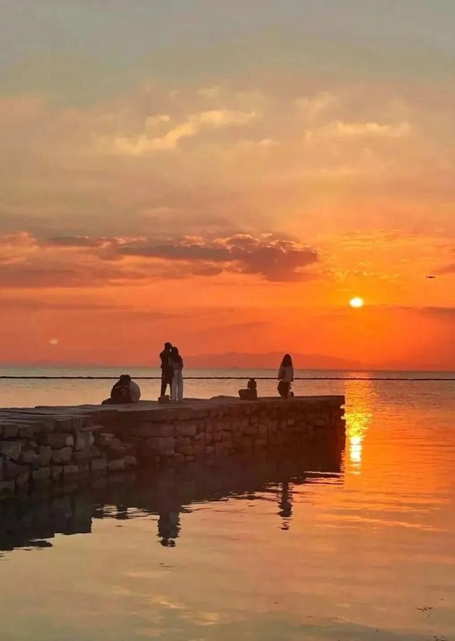 苏州这些地方只有27℃！进来“划水”！
