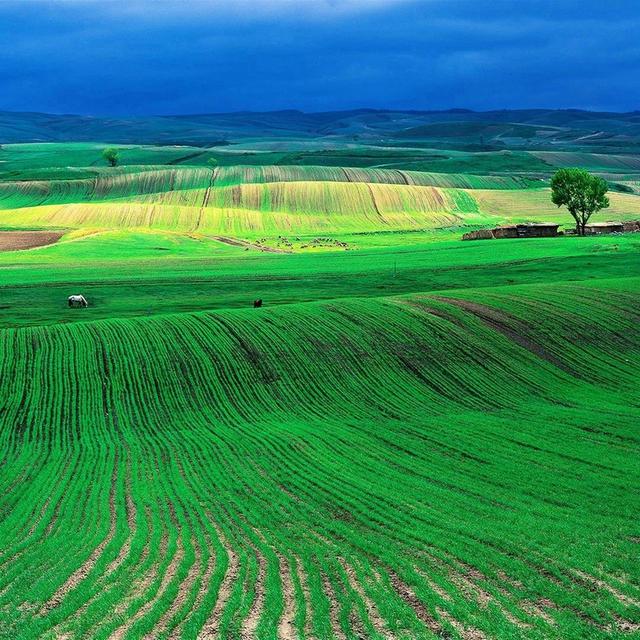 诗和远方 魅影新疆