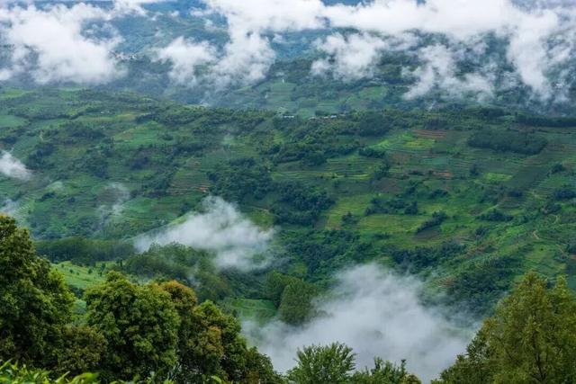 云南上榜全球最佳目的地！跟着《纽约时报》，重新走一遍茶马古道
