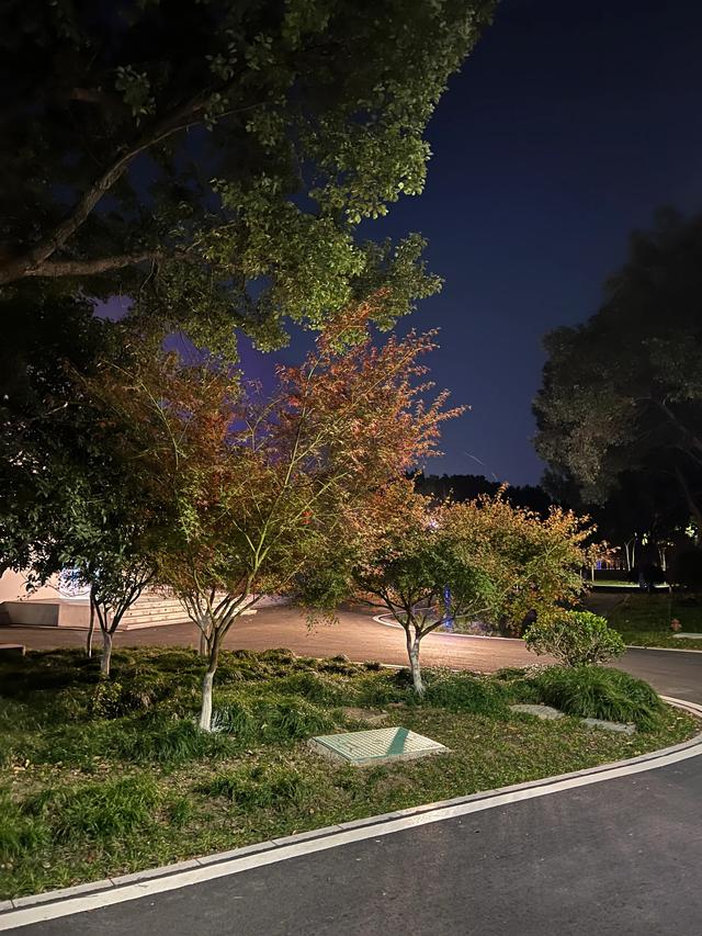 夜步嘉兴中央公园