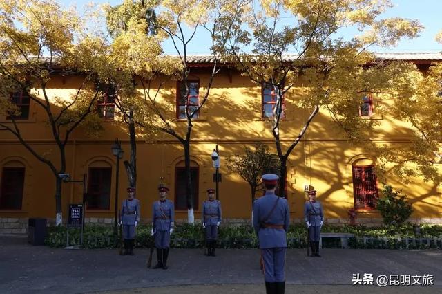 全屏“封神”！这可是昆明初冬的超绝顶流！保姆级攻略来袭，趁天晴立马冲！