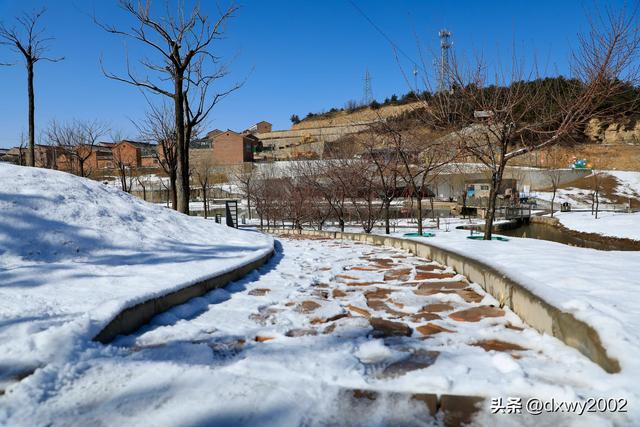 山西陵川雪后现雾凇美景