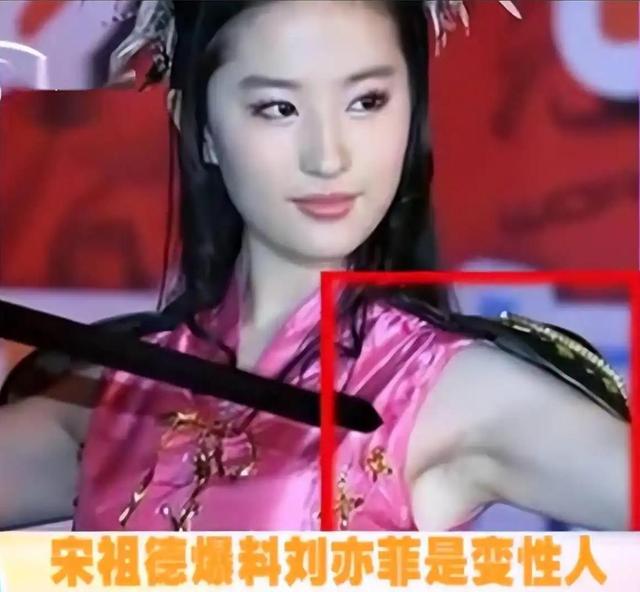 被干爹包养？与华为董事长搞地下情？刘亦菲的私生活谣言多离谱