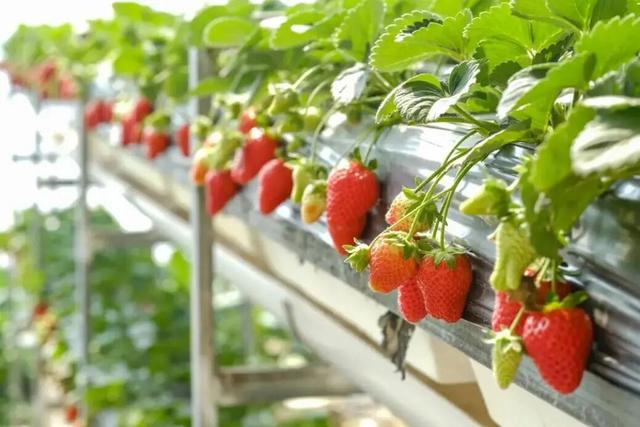 太全面了！8条游玩线路+京郊汤泉！带您玩转北京这里！（1）