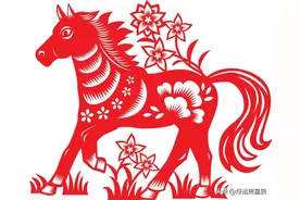 你是富贵马吗？看看哪个月份出生的马儿最有财运！图片