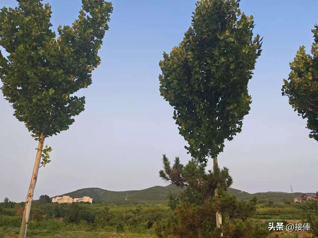 李传尧：章丘白泉湿地公园是个休闲健身的好去处