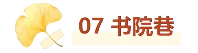 最适合拍银杏的地方！ 临沂十个0元打卡点，抓住今年最后的金色风暴！