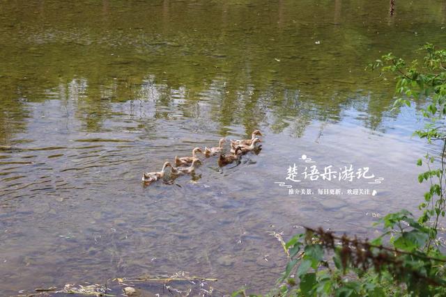 宁波宁海的10公里长溪，不仅是绝美玩水胜地，秋季的风景也很秀丽