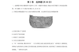 【历史】2025年中考模拟训练试题及答案（卷）图片