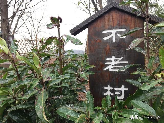 南京市全部区域内免费自驾车停车露营地，主要好玩景点及特色美食