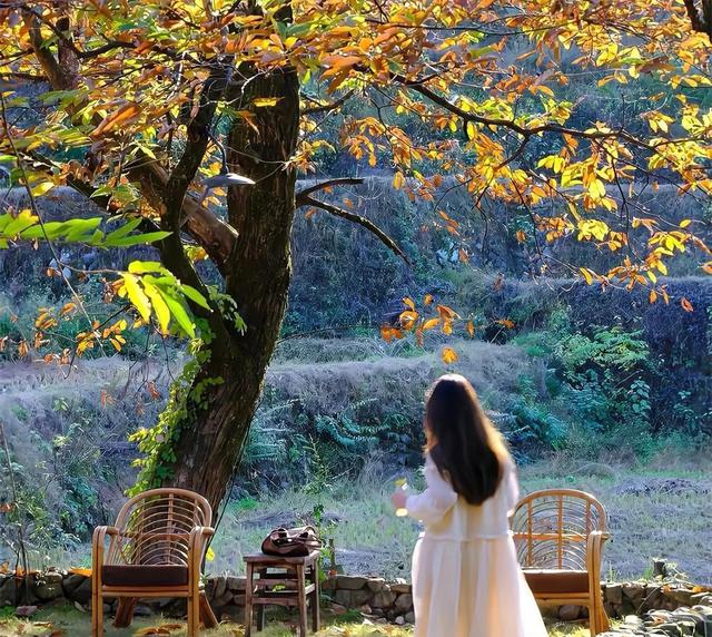 人生建议：停止喂养任何人