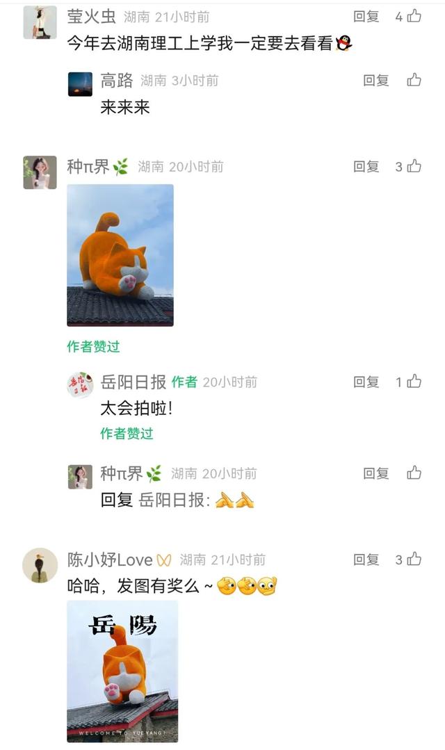 一周看点 | 一只“流量猫”，魅力有多大？