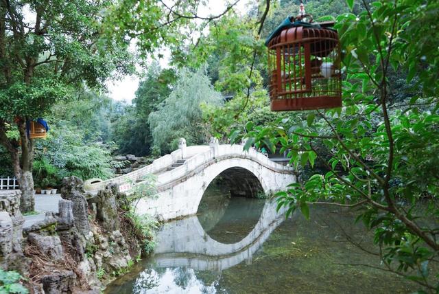 贵阳市中心竟然藏着一座“野生猴山”？现在还是国家4A级旅游景区