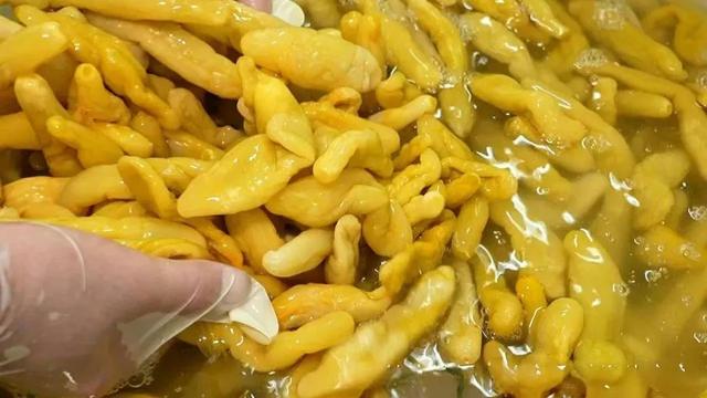 半江碧波，一城风华。这里是龙母故乡、崇德之城——德庆！
