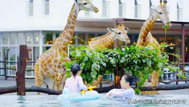 2025年度盘点（旅游篇）：新质生产力赋能全国滨海旅游目的地建设