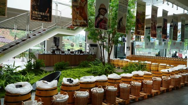 思茅区：咖啡庄园迎来暑期旅游热 解锁“咖旅融合”新玩法