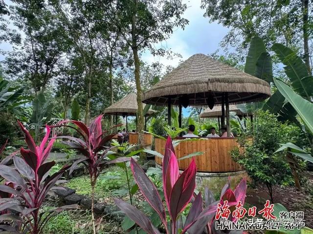 省媒看定安丨定安：擦亮“咖啡+美景”县域旅游新名片