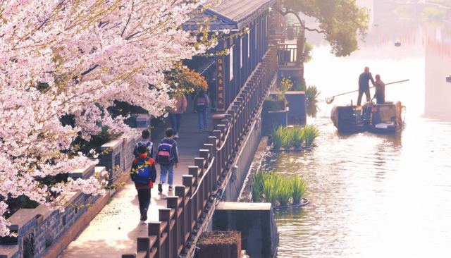 藏不住了！萧山的春天，美到犯规！