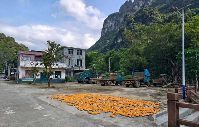 自驾广西篇1丨德天瀑布+明仕田园+峒那屿湾是否值得玩？