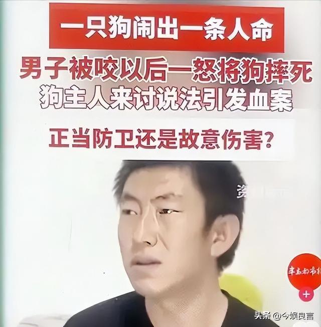 狗主人被反杀案开庭，9人闯门打砸，妻子后悔冲动，更多细节披露