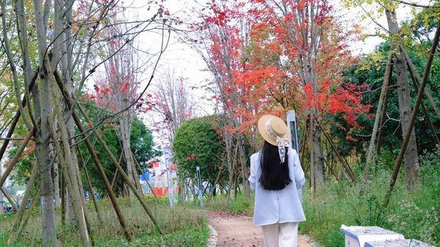 在眉山天府新区，遇见五彩斑斓的初冬！