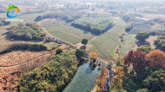 用脚步丈量良渚古城 万人参与2025国际（杭州）毅行大会