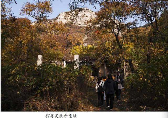 吴秀成：金秋探寻灵泉寺