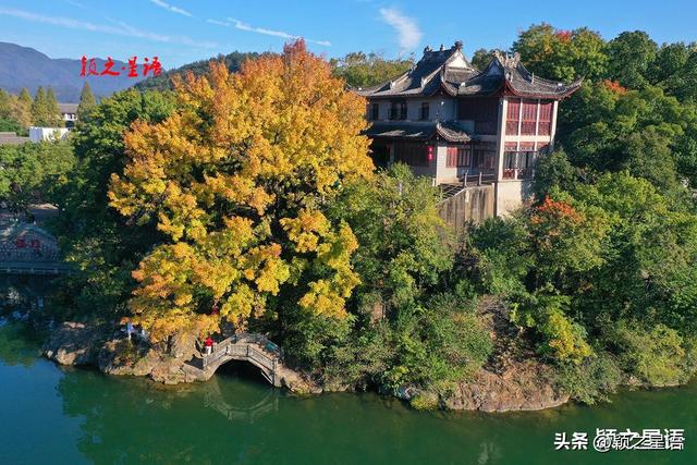 秋色天花板，枫香树下美龄桥