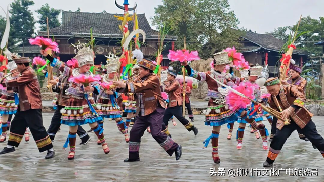 芦笙一响，年味登场！到梦呜苗寨“过苗年，打同年”