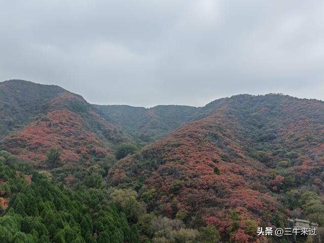 无为在歧路，济南红叶谷
