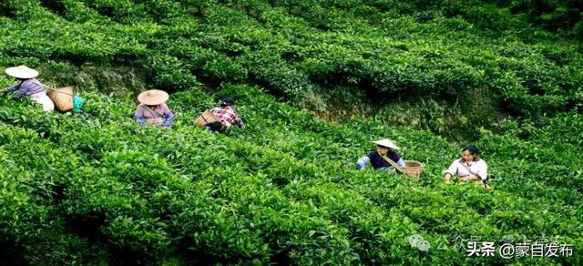 滇超联赛|跟着赛事去旅行·梁河篇