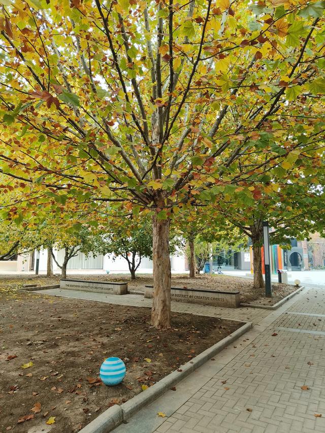 天津《棉三创意街区》