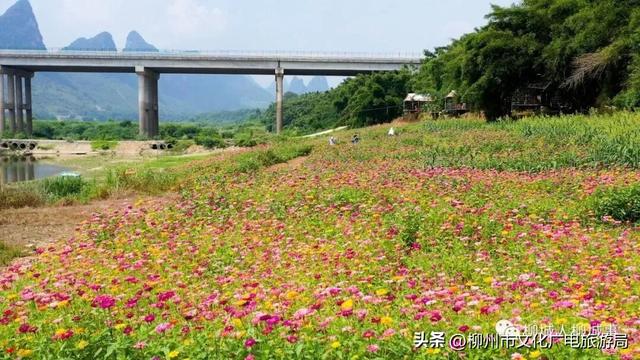 行至江畔过过山水慢生活吧！这次是文化旅游产业发展大会主办地——柳城