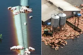 看完这组图，才知道大自然的力量有多可怕…图片