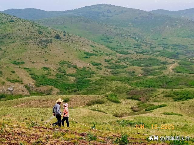 7）山西阳城析城山圣王坪，在云端草甸邂逅狼毒花的美，与千年传