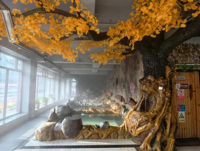 元宵去长白山！泡仙人桥暖汤，赏花灯团圆夜