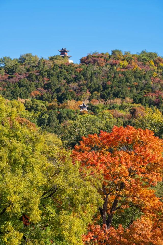 收藏一个秋天，石景山绝美秋色大公开