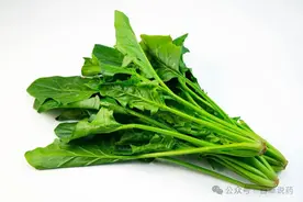 【中草药科普】每天认识一味中草药-菠菜图片