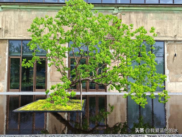 芜湖老船厂遗址，很不错的网红打卡地，值得来一趟！