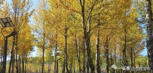 10月27日-29日，这些人免费游鄂野、海洋馆→