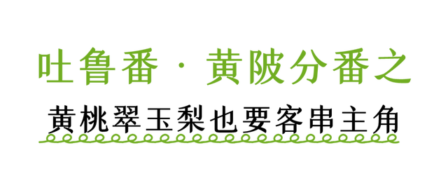 不在新疆！吐鲁番分番在姚集