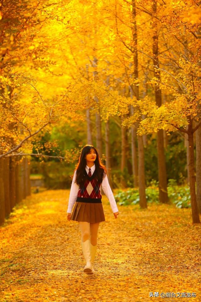 【乐游烟台】这是一份来自“金色梦境”的邀约，一起来撒欢