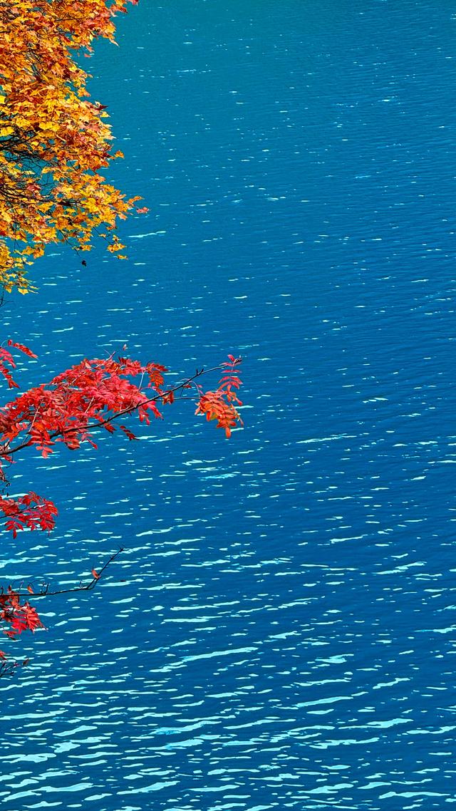 一日游暴走2.5w步，九寨沟遇见最美的秋天，色彩斑斓如童话世界！